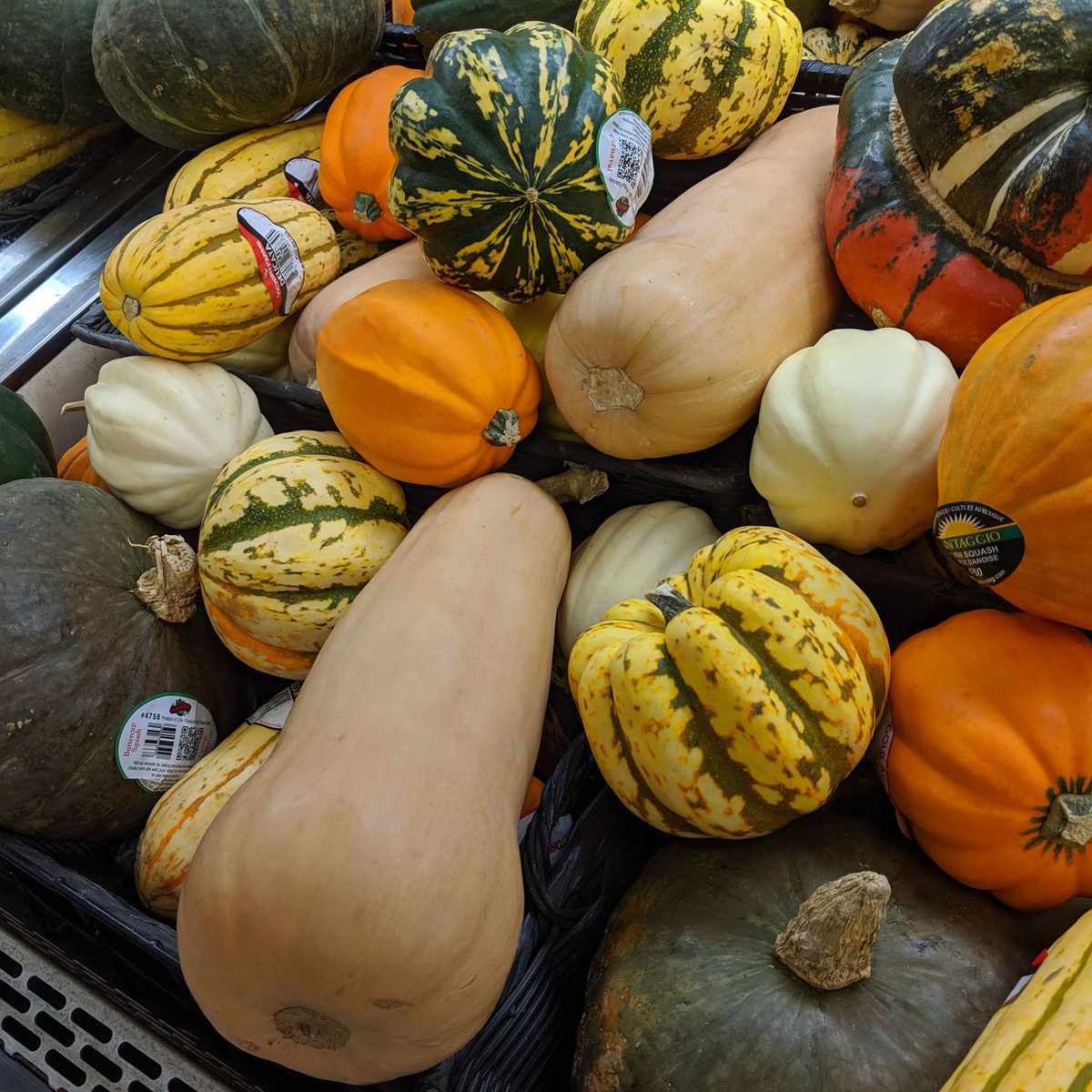 squash at grocery store
