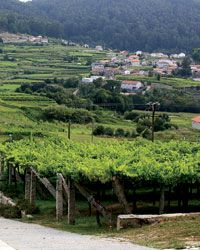 Is Albari&ntilde;o the Next Great Summer Wine?