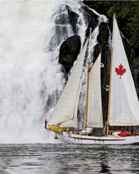 images-sys-201202-a-ecotourism-maple-leaf-sailboat.jpg