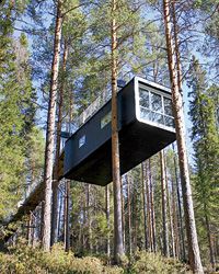 Sweden&rsquo;s Treehotel