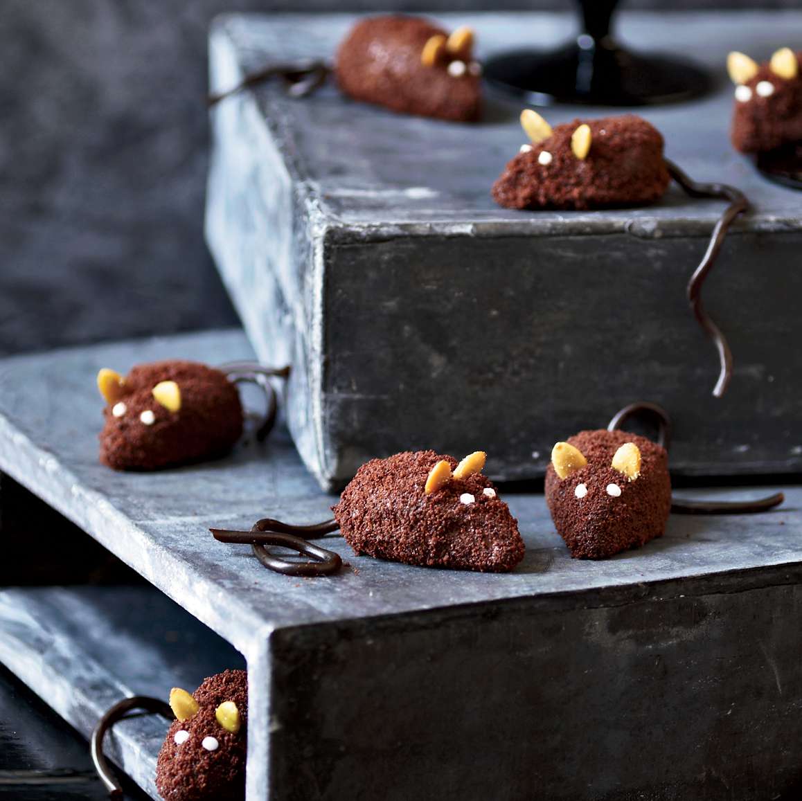 Chocolate Mice. Photo &copy; David Malosh