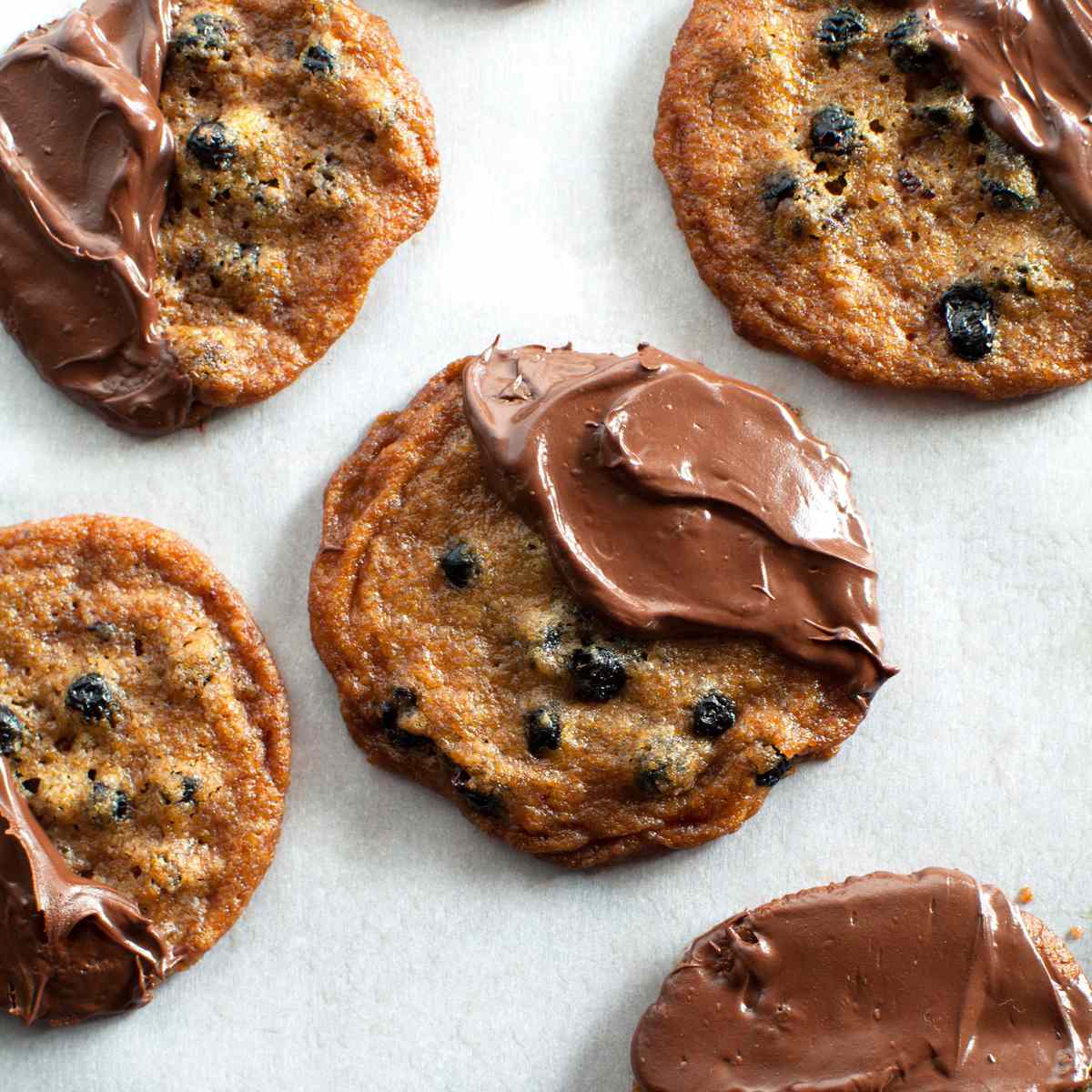 Crispy Blueberry Cookies Dipped in Chocolate 