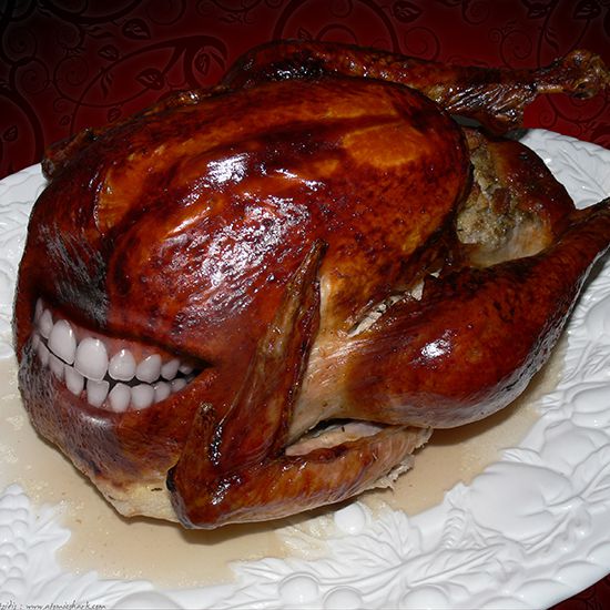 World's Weirdest Turkeys