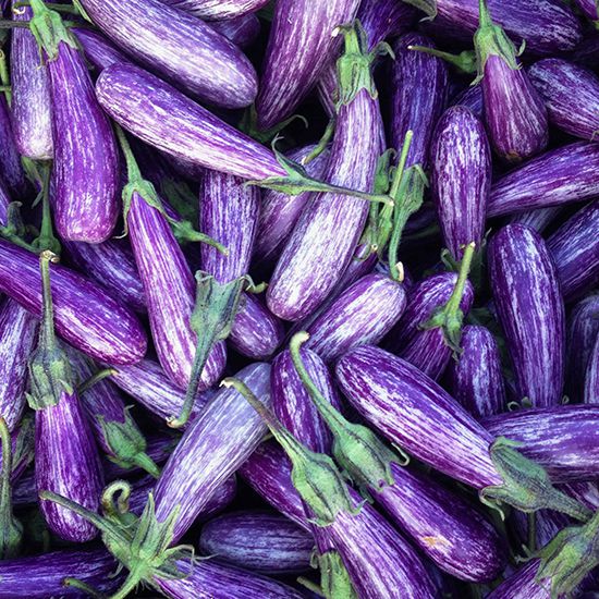 Gorgeous Eggplant Varieties: Fairy Tale