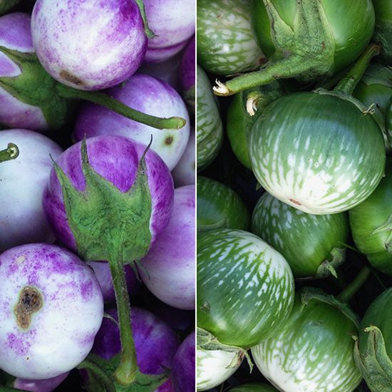 Gorgeous Eggplant Varieties: Kermit and Lavender Frog Egg