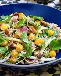 Farro with Butternut Squash and Pickled Chanterelles