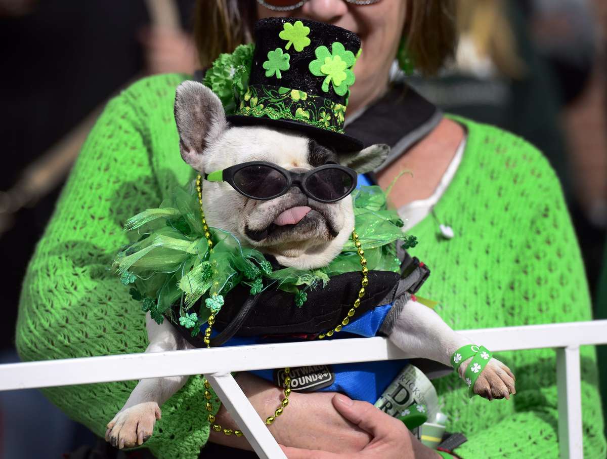 The 2016 Denver St. Patrick's Day Parade takes place in downtown Denver.