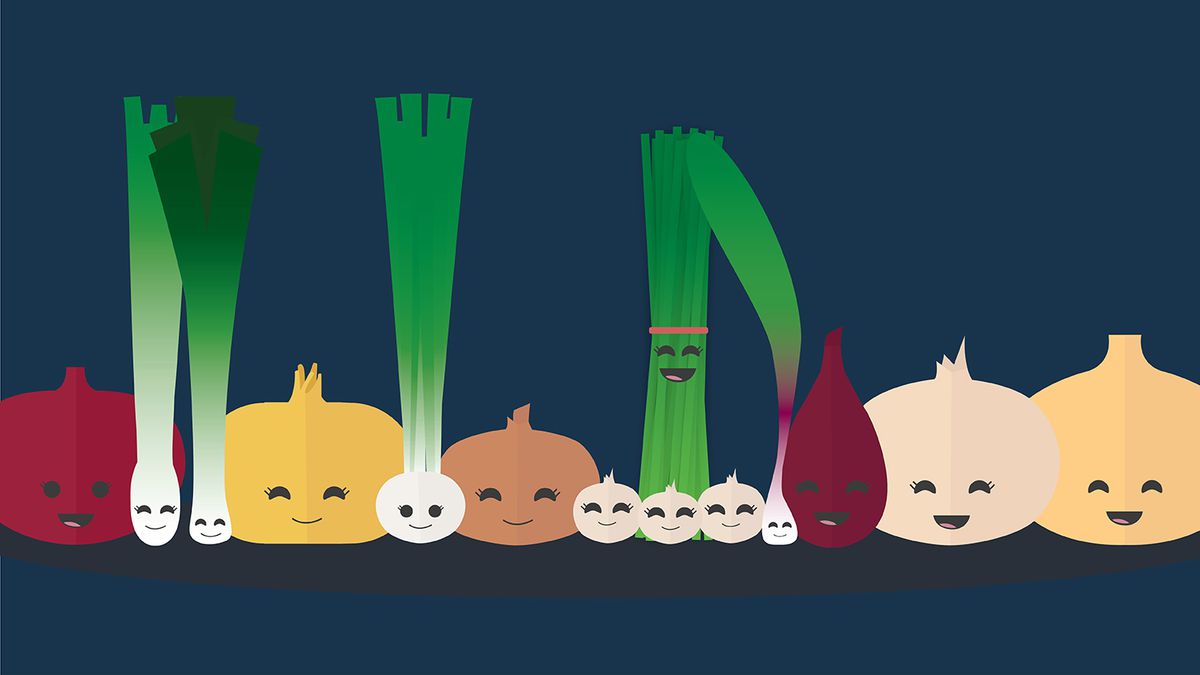 onions and their cousins