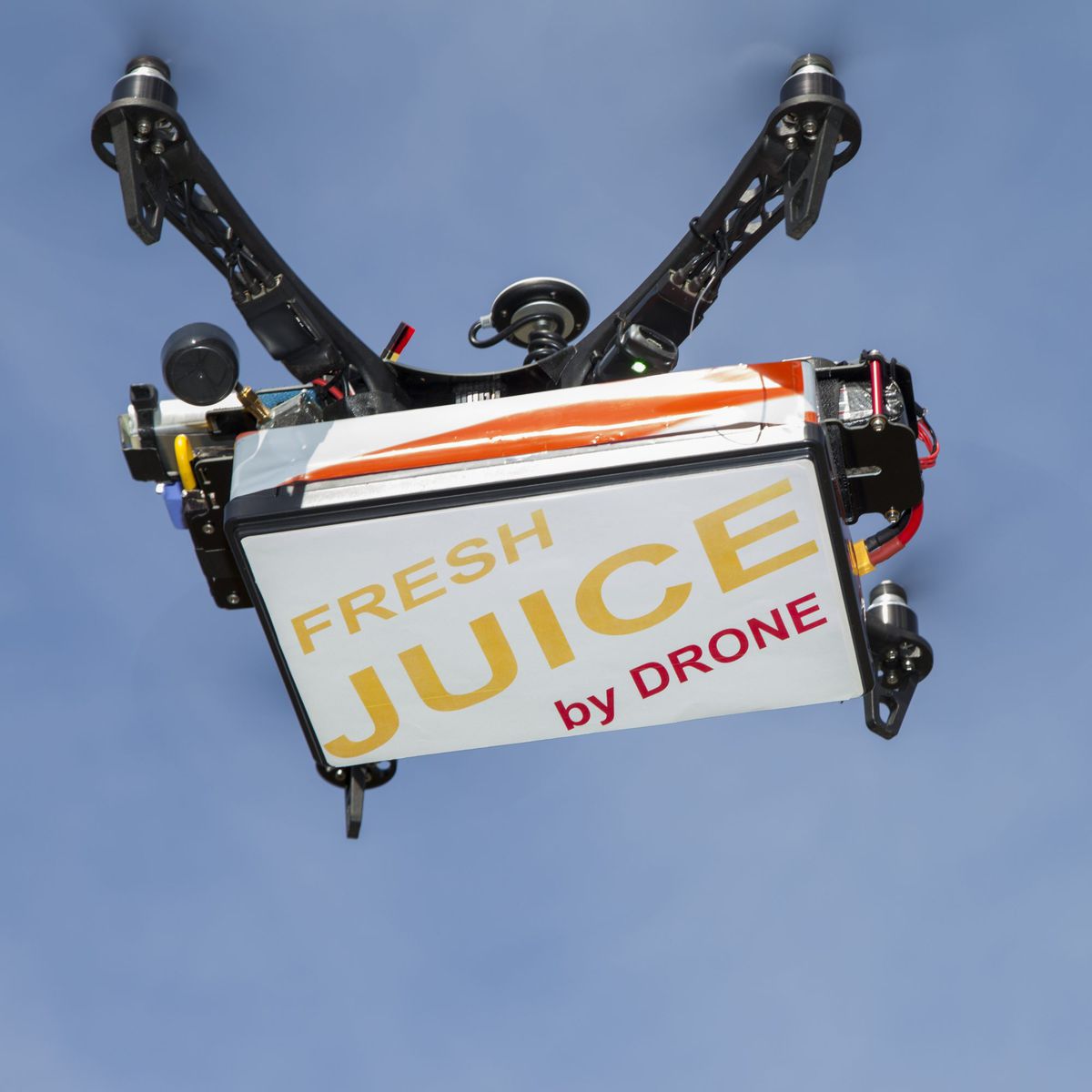 DRONE FOOD DELIVERY FWX