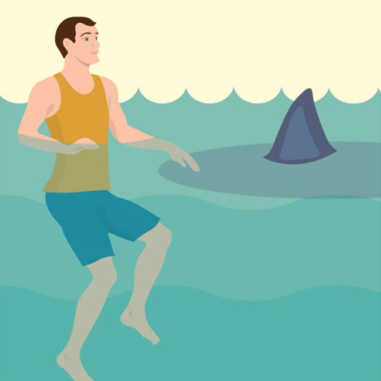 FWX PARTNER FIX HOW TO AVOID A SHARK ATTACK
