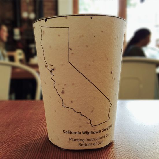 Plantable Coffee Cups