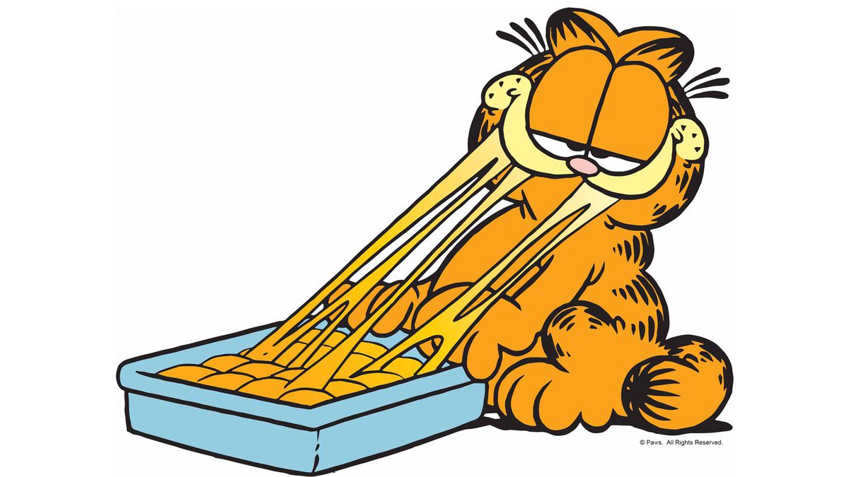Garfield the Cat