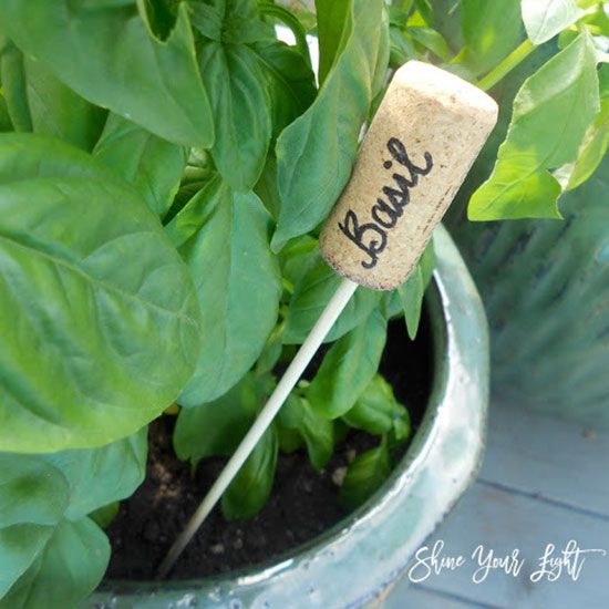 herb markers