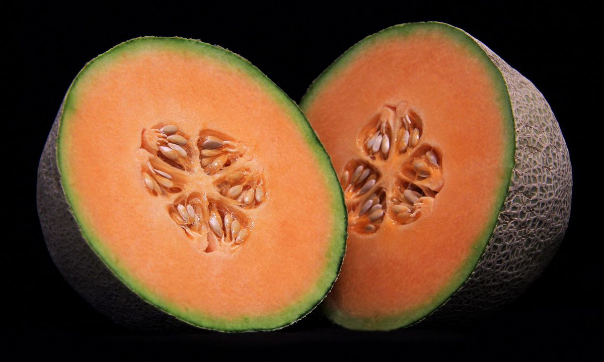 What You Think Are Cantaloupes Are Not Actually Cantaloupes