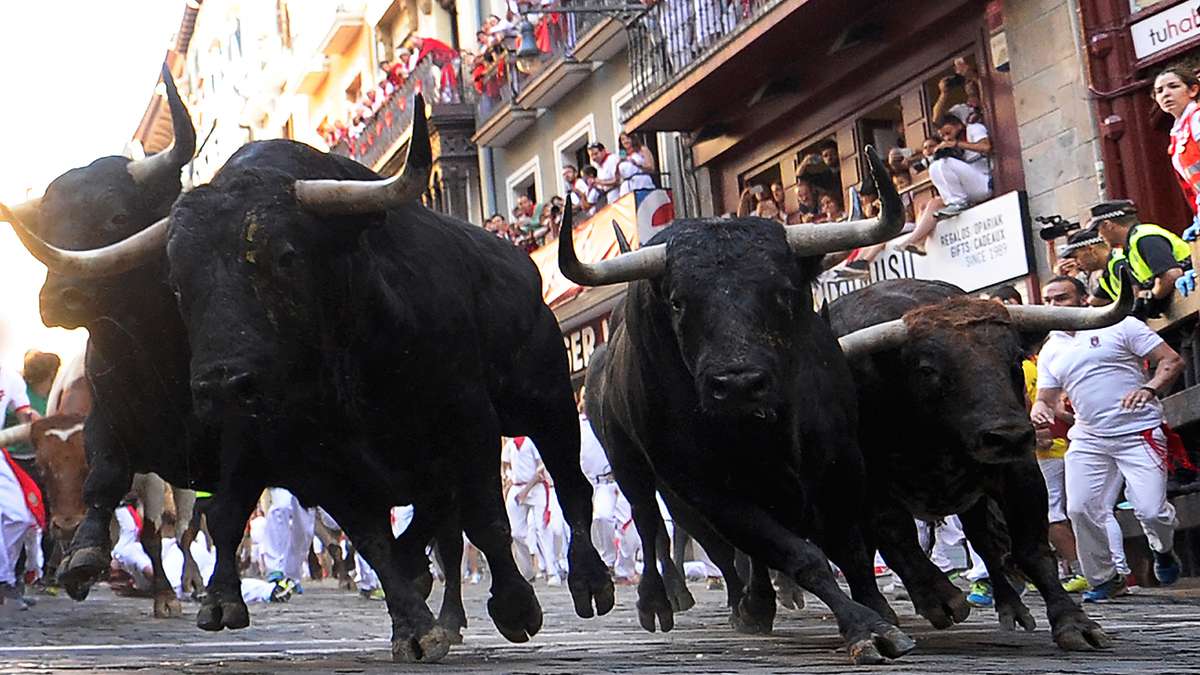 running with the bulls in spain