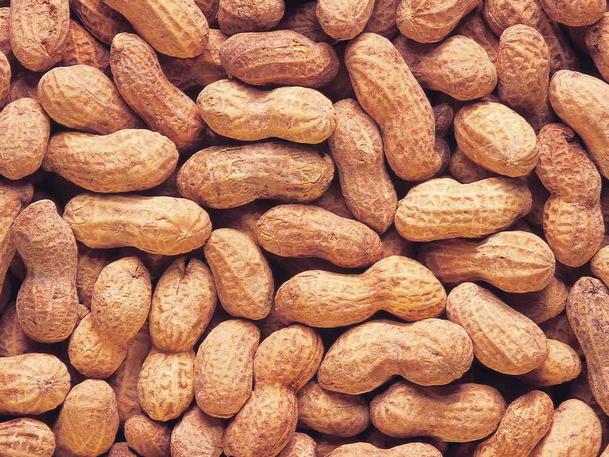 peanut allergy cure