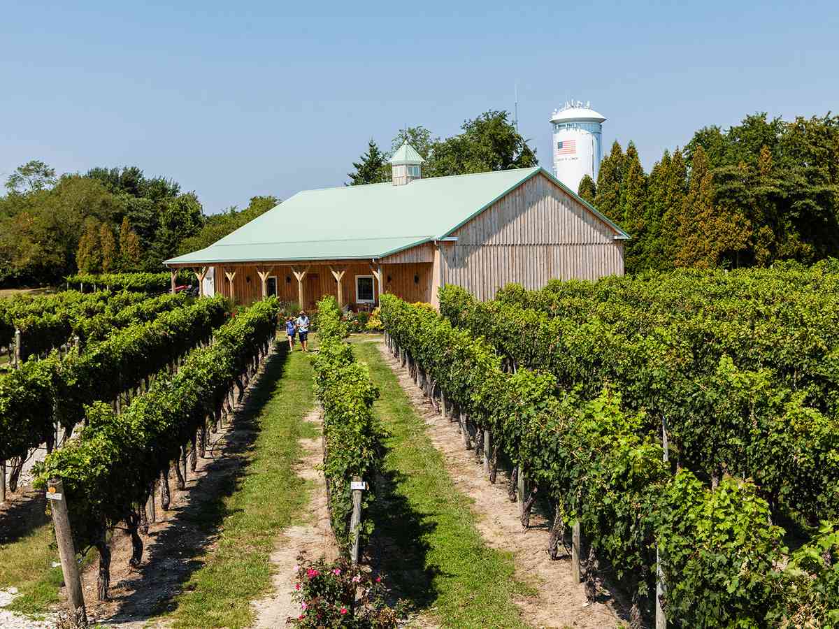 new jersey wineries