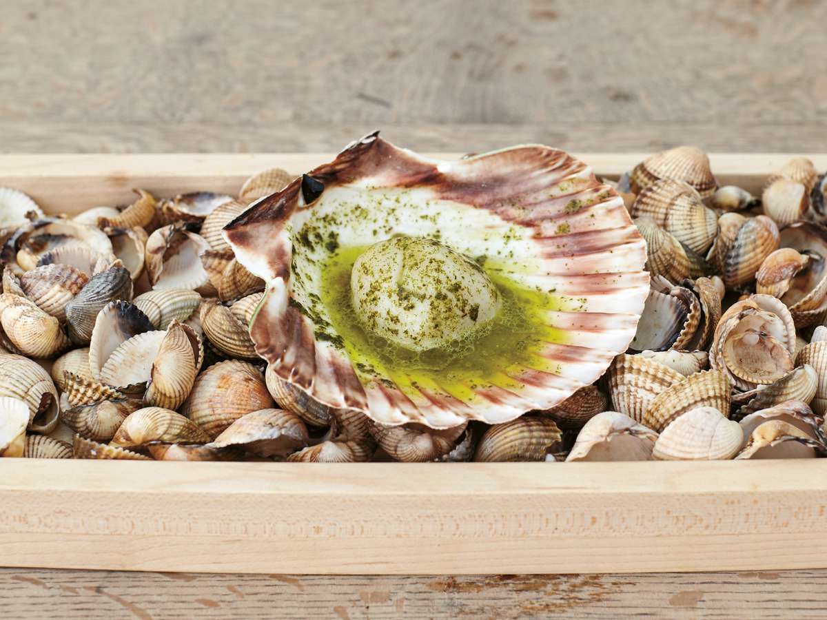 Scallop with Seaweed