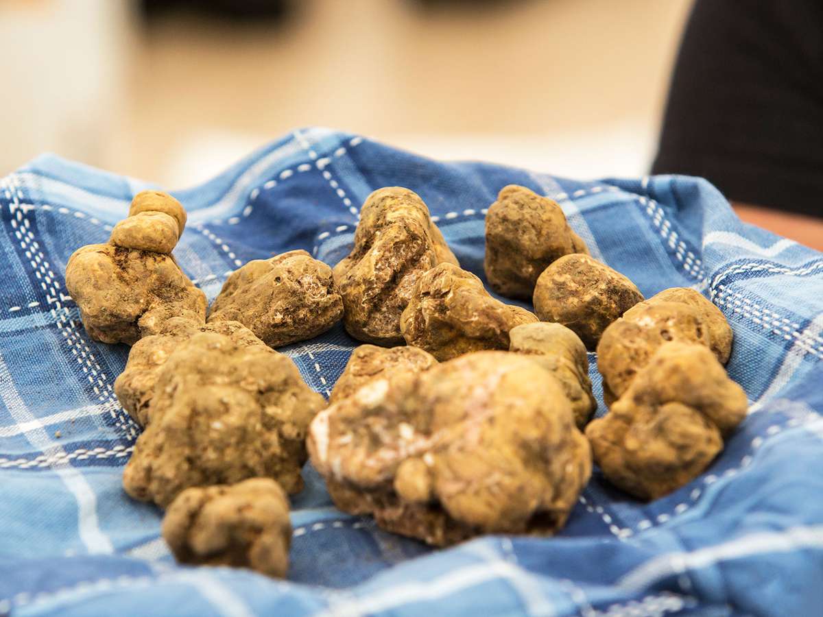truffle prices sky rocket
