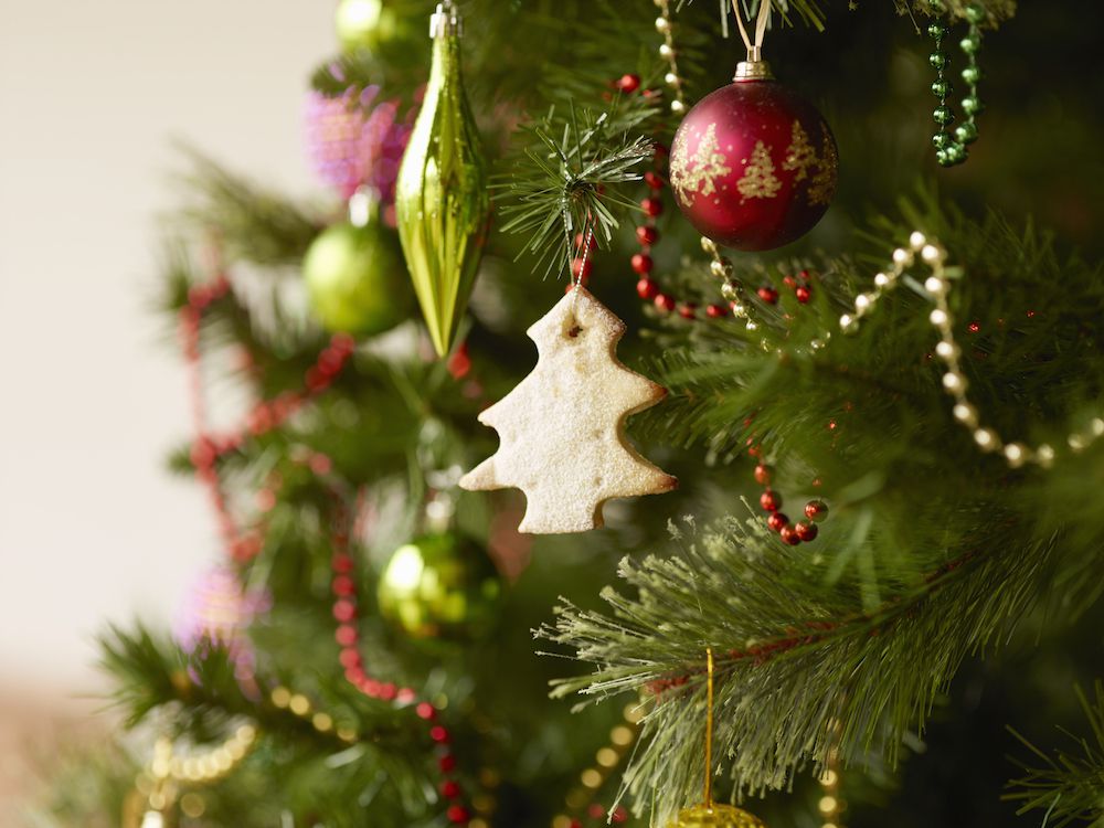 christmas-tree-personality-blog1117.jpg