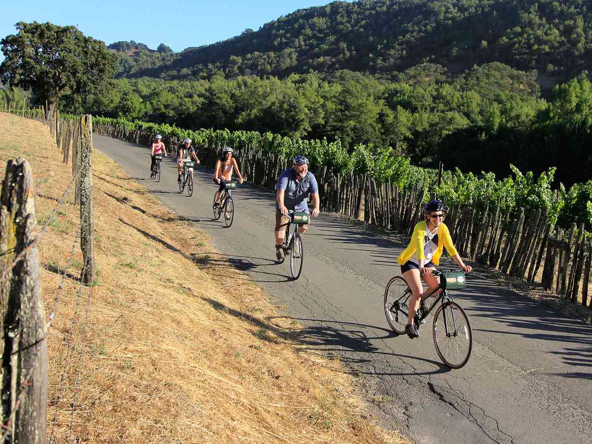 Napa and Sonoma Valley Bike Tours