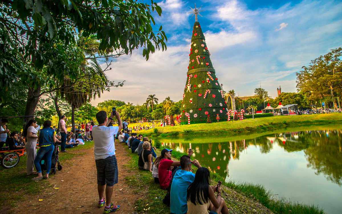 巴西圣保罗的Ibirapuera Park圣诞树