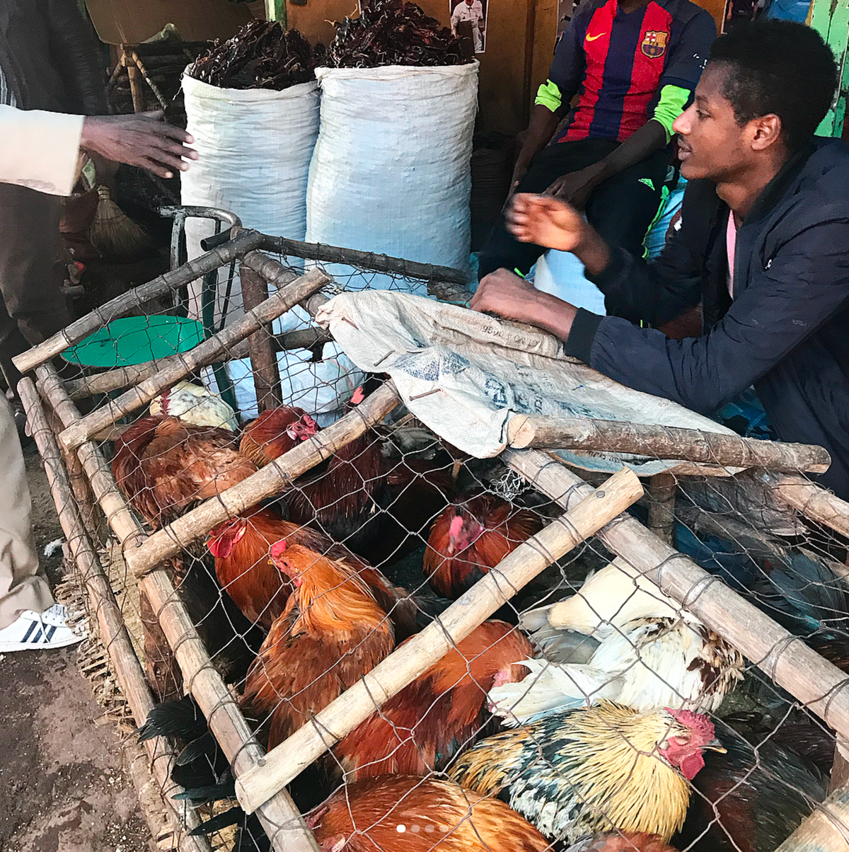jenn-louis-ethiopia-shola-market-blogpost.jpg