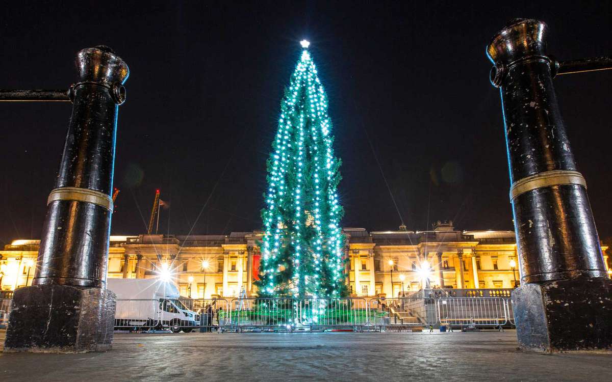 特拉法加广场圣诞树来自挪威，作为礼物