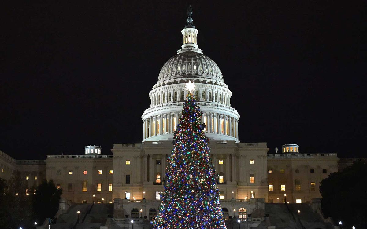 美国国会大厦的圣诞树