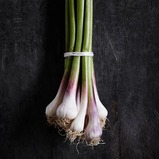 original-201405-HD-spring-green-garlic.jpg