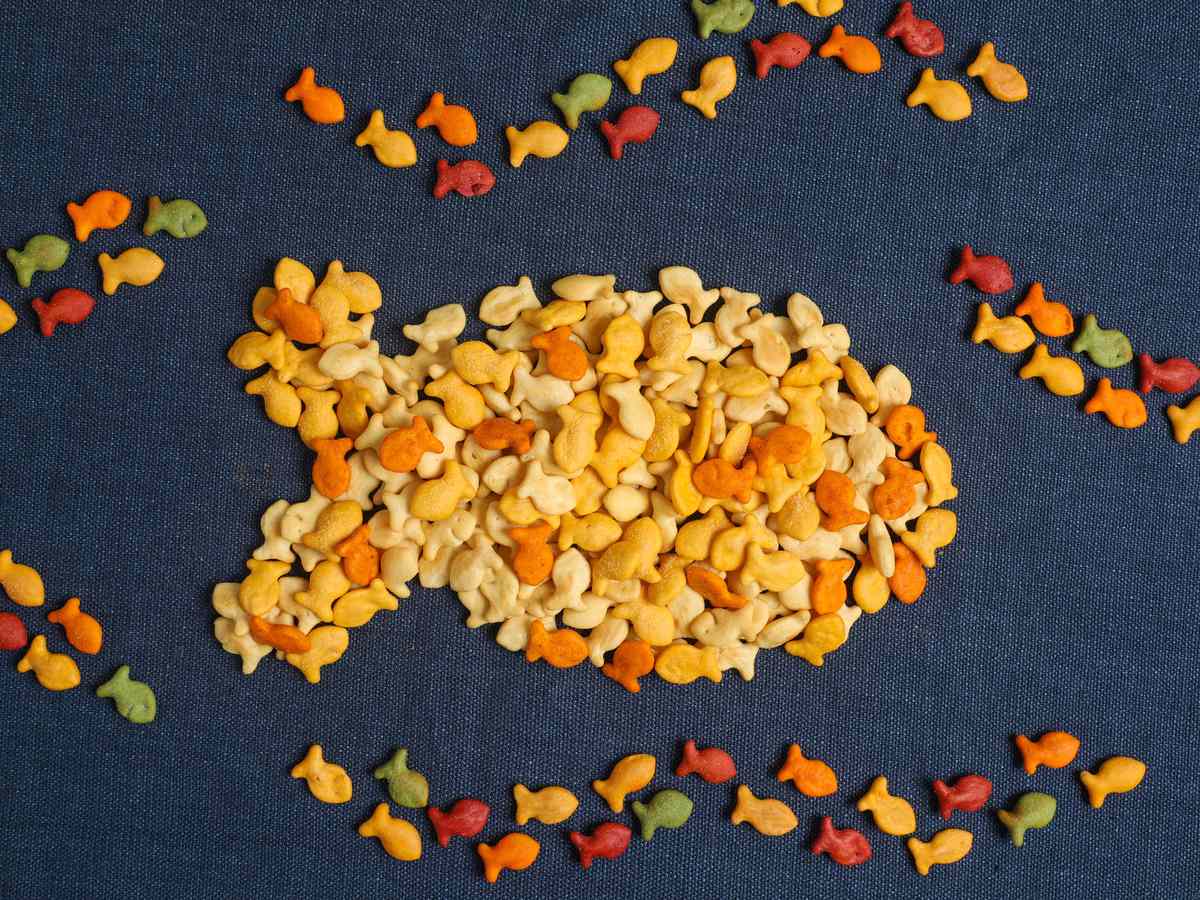 Goldfish Taste Test