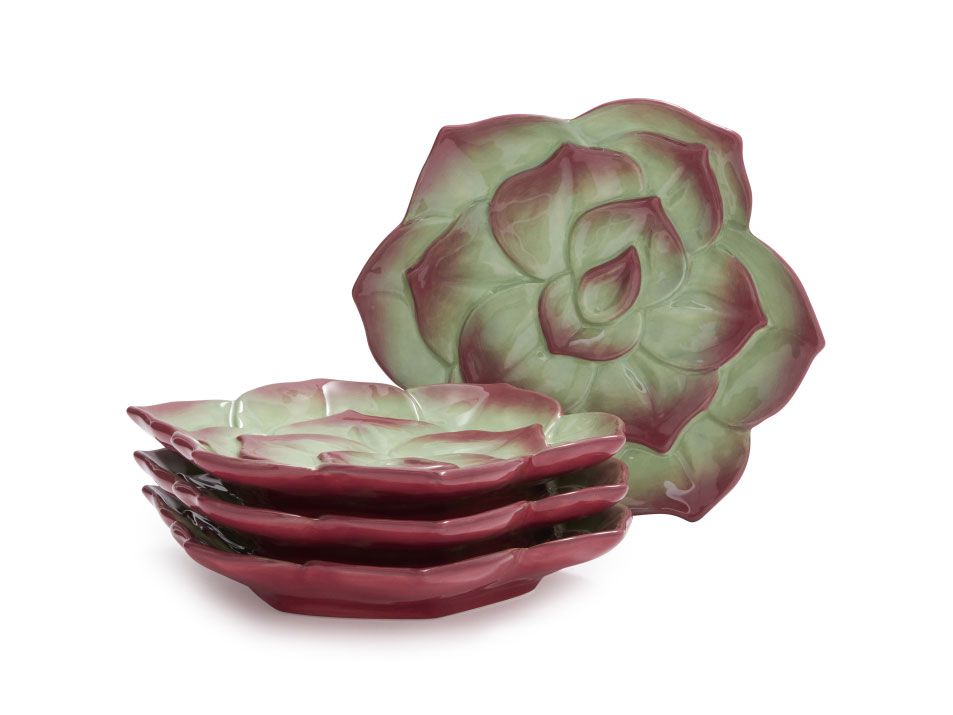 Succulent Plates