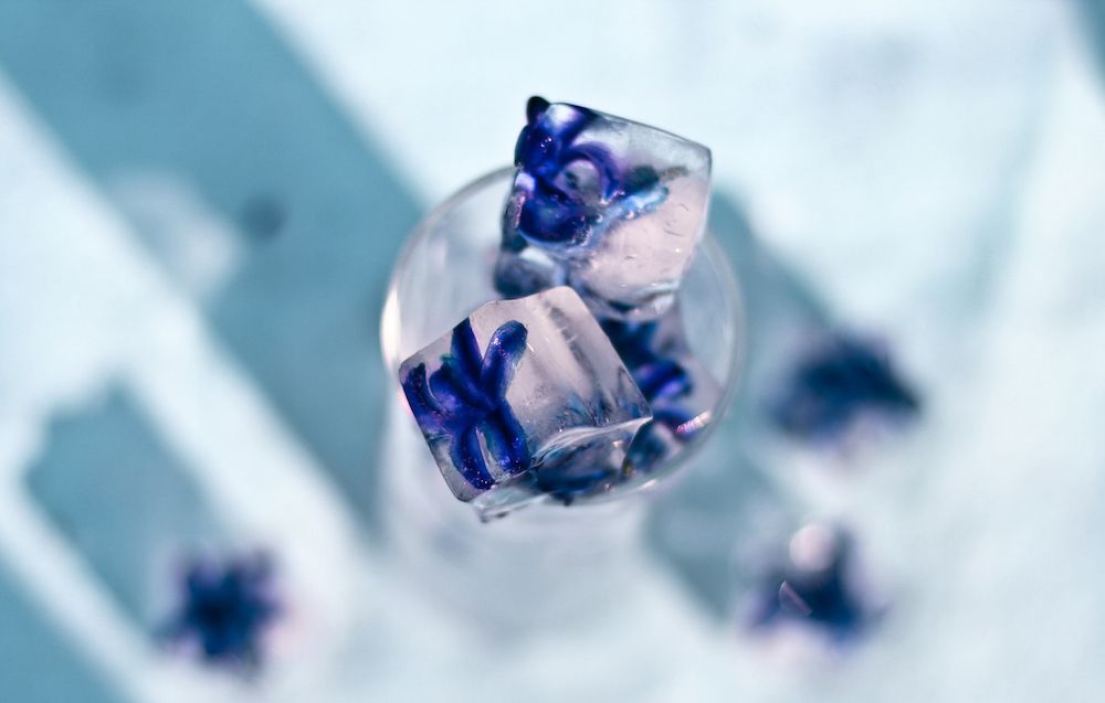 flower-ice-cubes-blog718.jpg