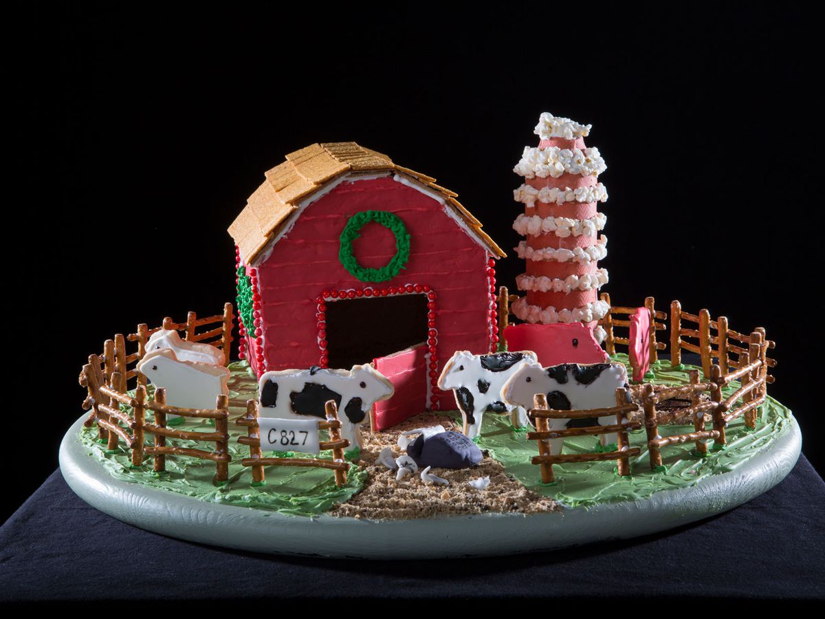 National Gingerbread House Competition Child 2nd Place