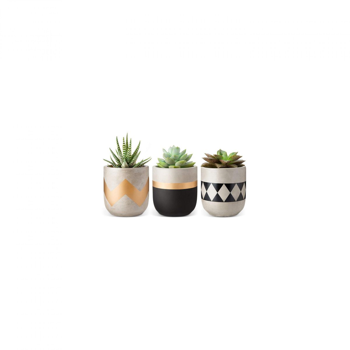 Set of Three Cement Succulent Flower Pots