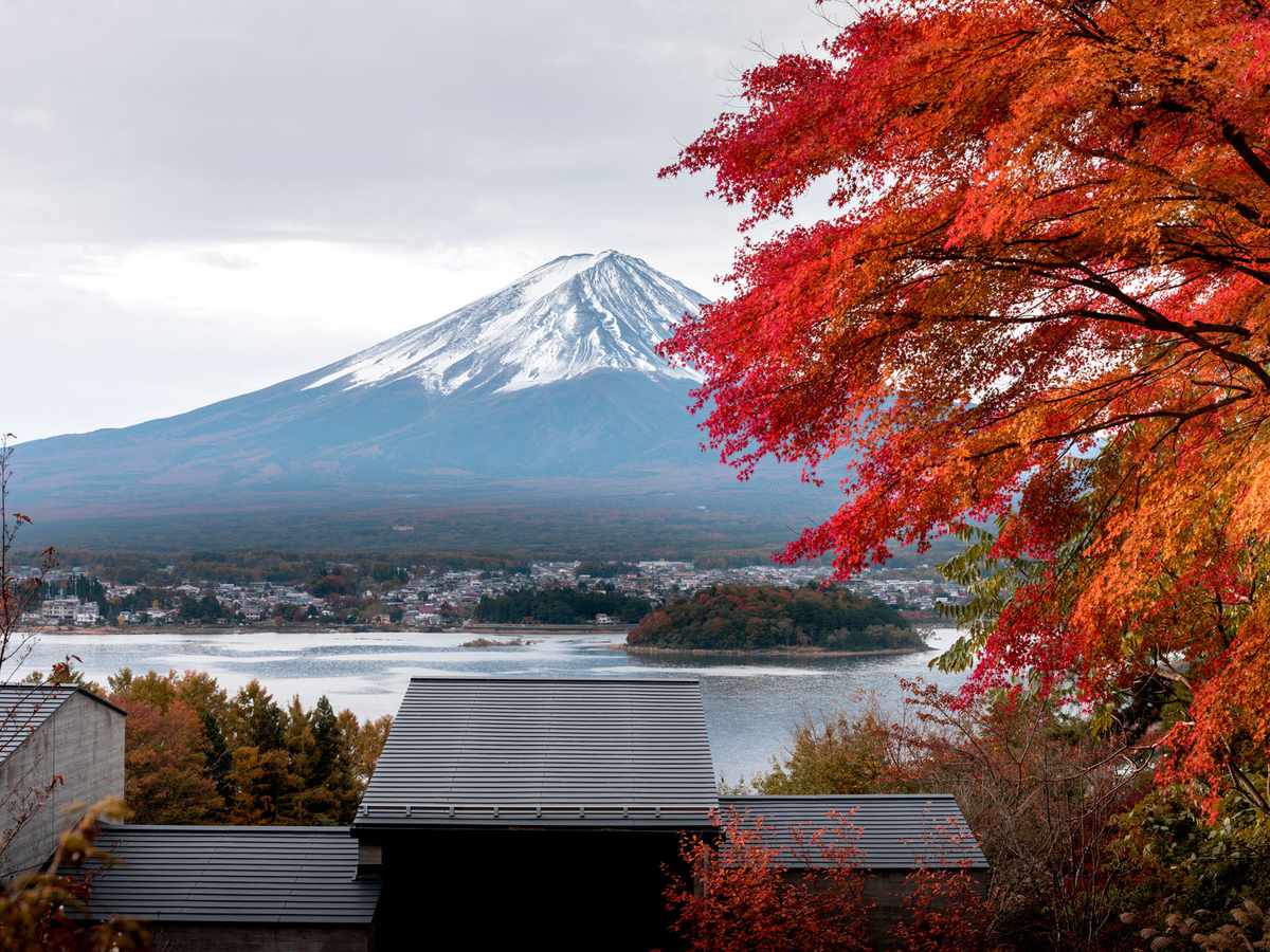 Mt. Fuji View in Autumn