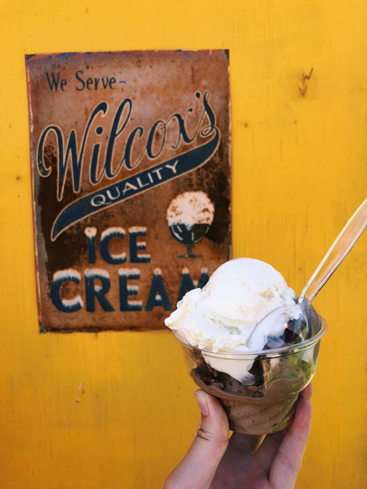 Wilcox's Ice Cream