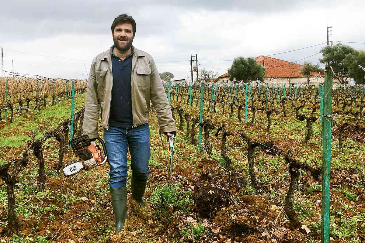 Lebanon Wine Faouzi Issa Domaine des Tourelles