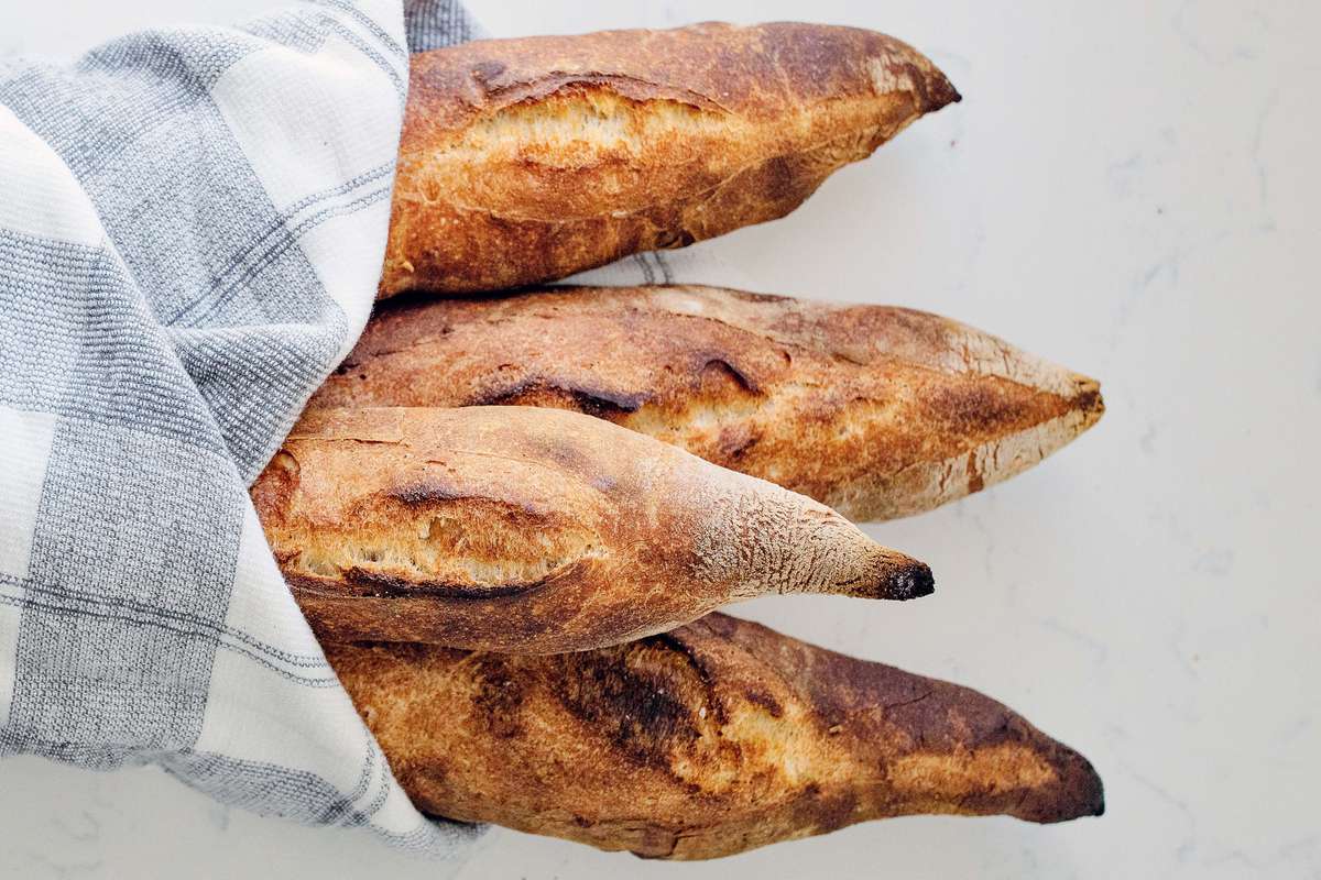 Birote (Guadalajaran Sourdough Bread) 