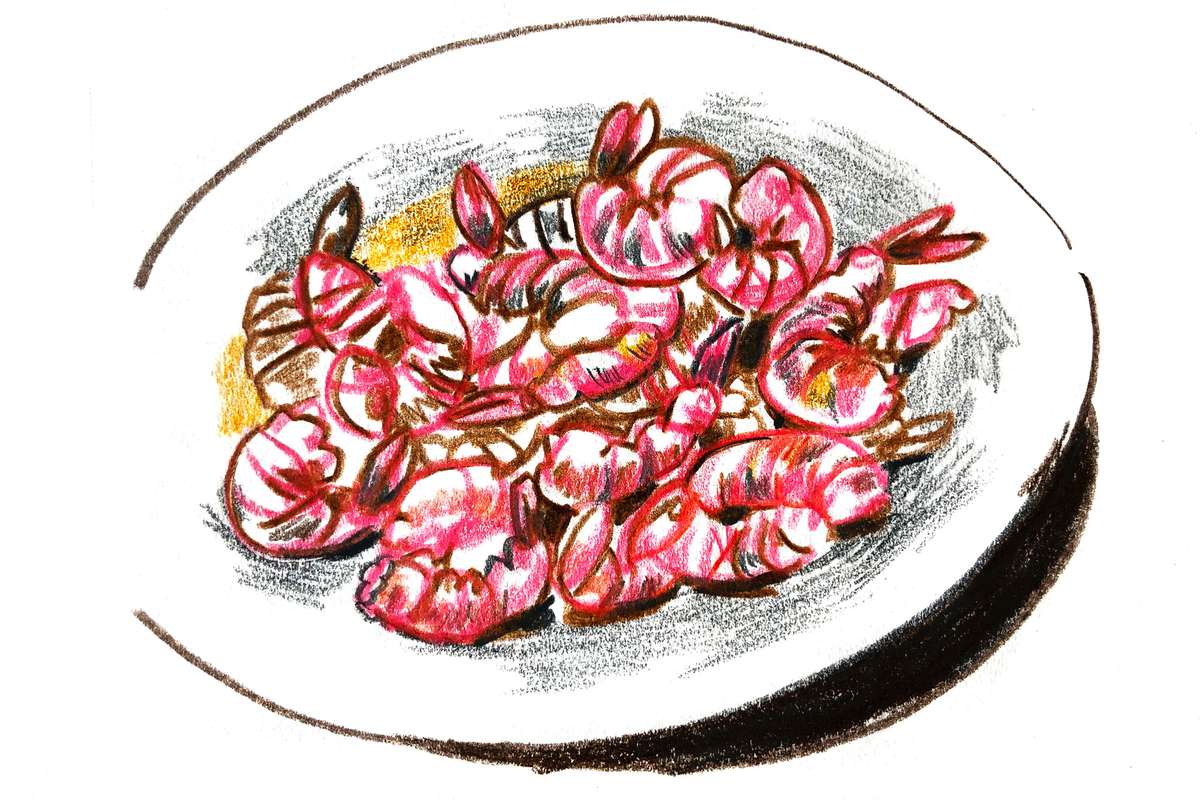 Pepper Shrimp Illustration