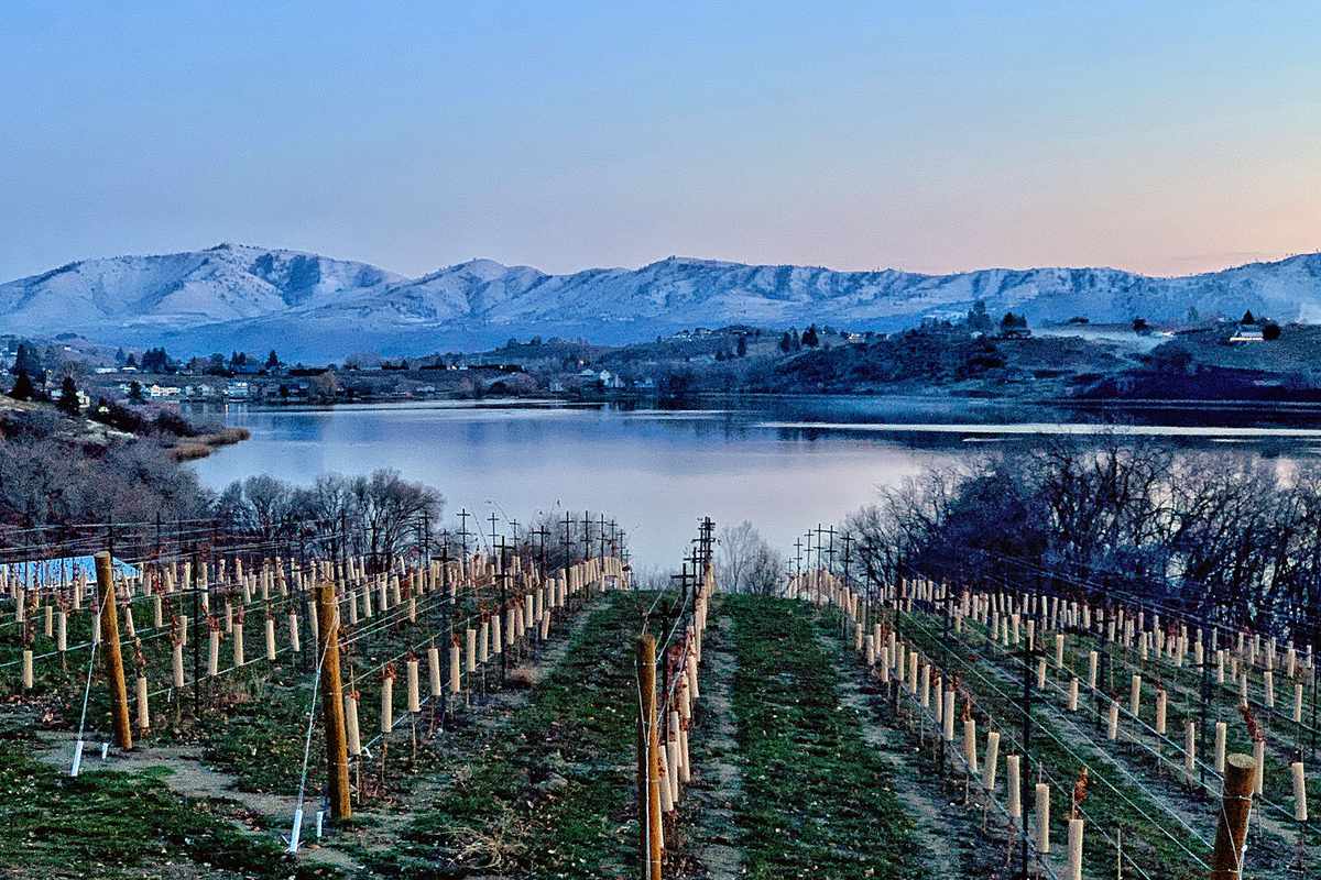 Vineyard on Lake Chelan in Manson, Washington