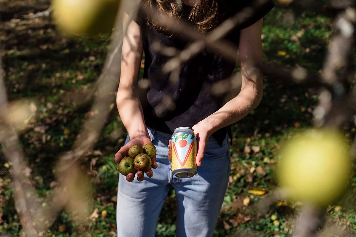 A forager holds apples and a can of Shacksbury Cider