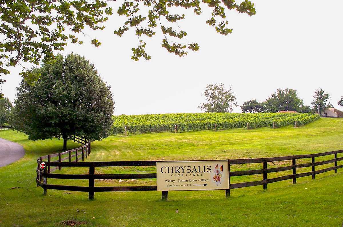 View of the vineyards and fence at the entrance to Chrysalis Vineyards