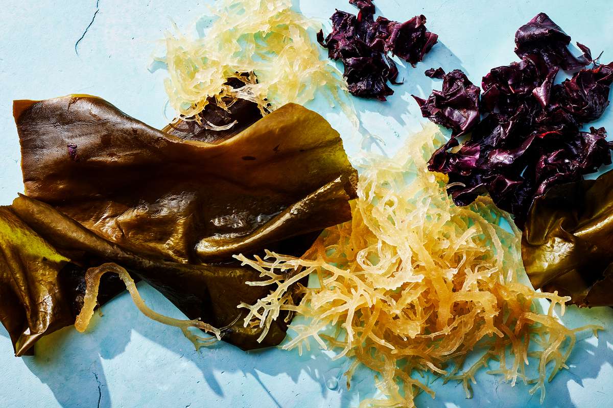 American-grown seaweeds