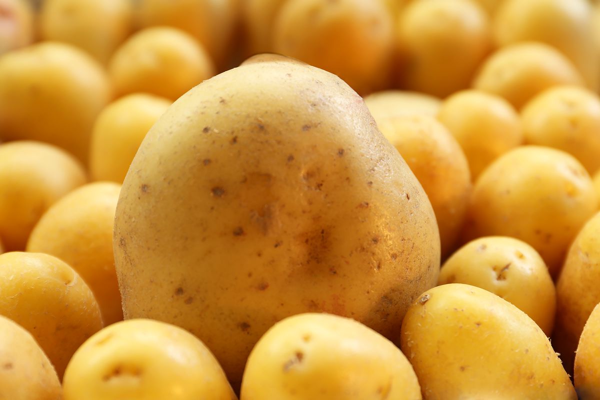 Potato How the