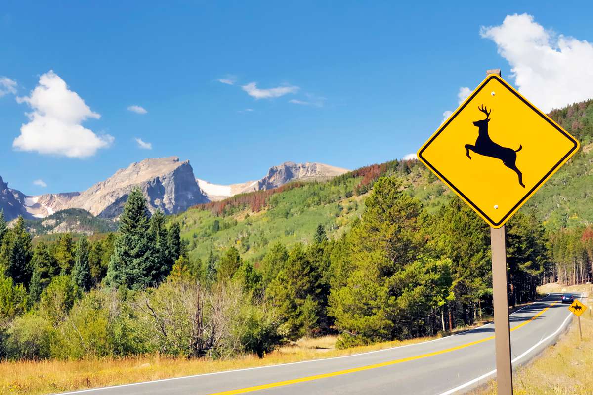 A deer crossing sign in the American West