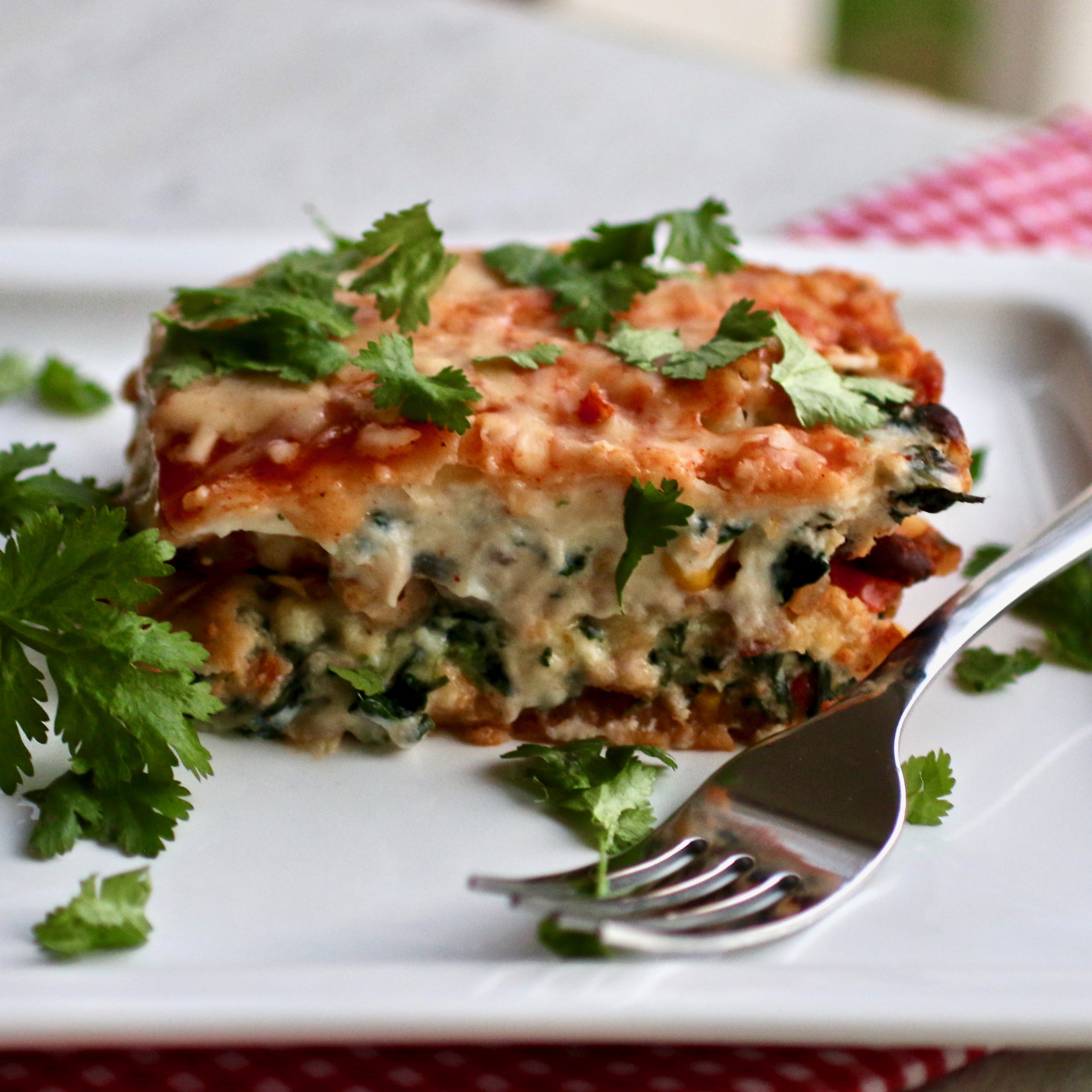 Vegetarian Mexican Lasagna Recipe | Allrecipes