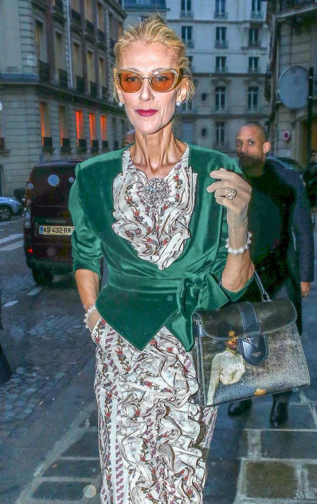 Céline Dion Slams the Criticism Over Her Slimmer Look: ‘Leave Me Alone ...