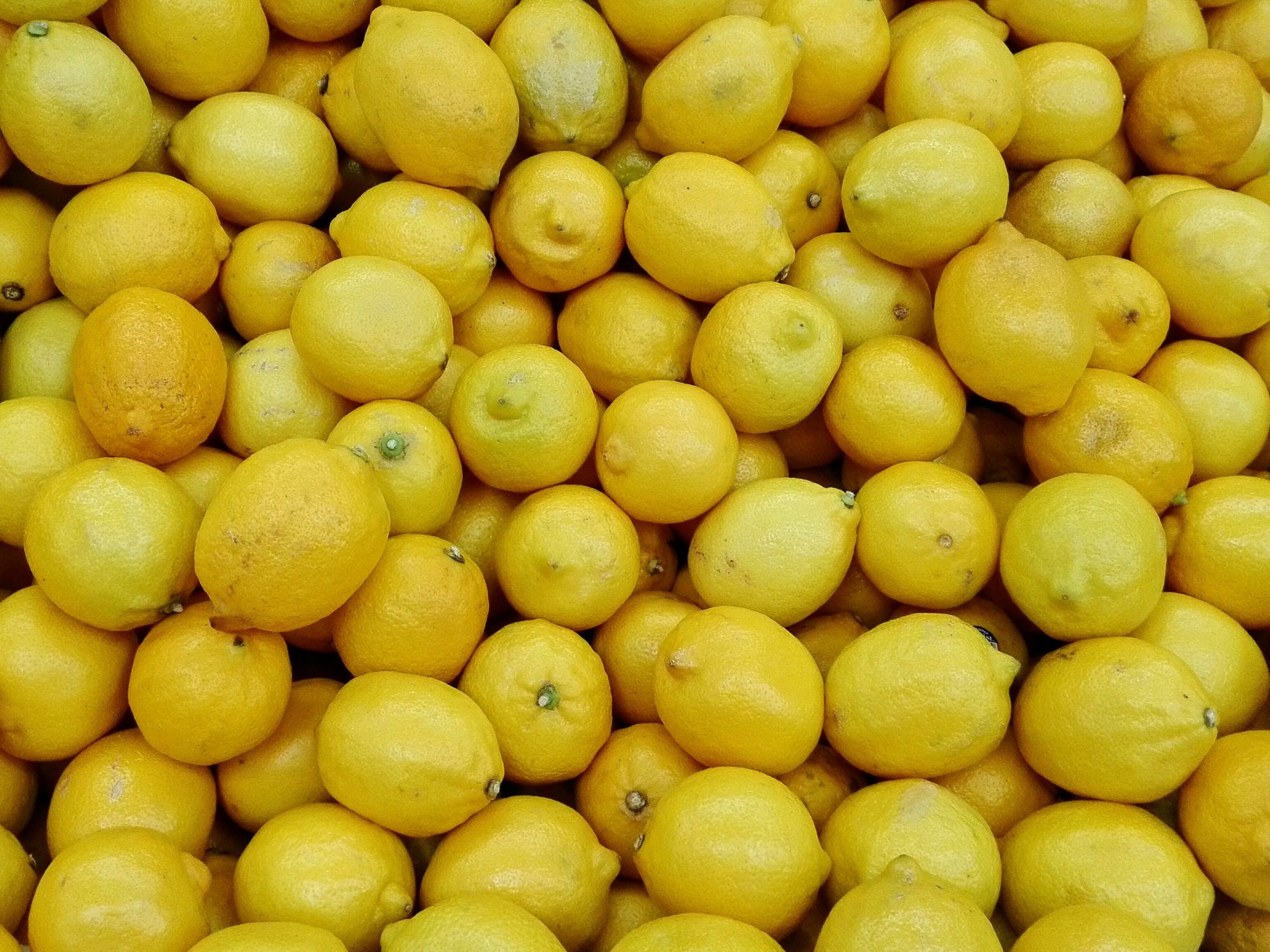 How to Store Lemons So They Stay Fresh For Longer | MyRecipes