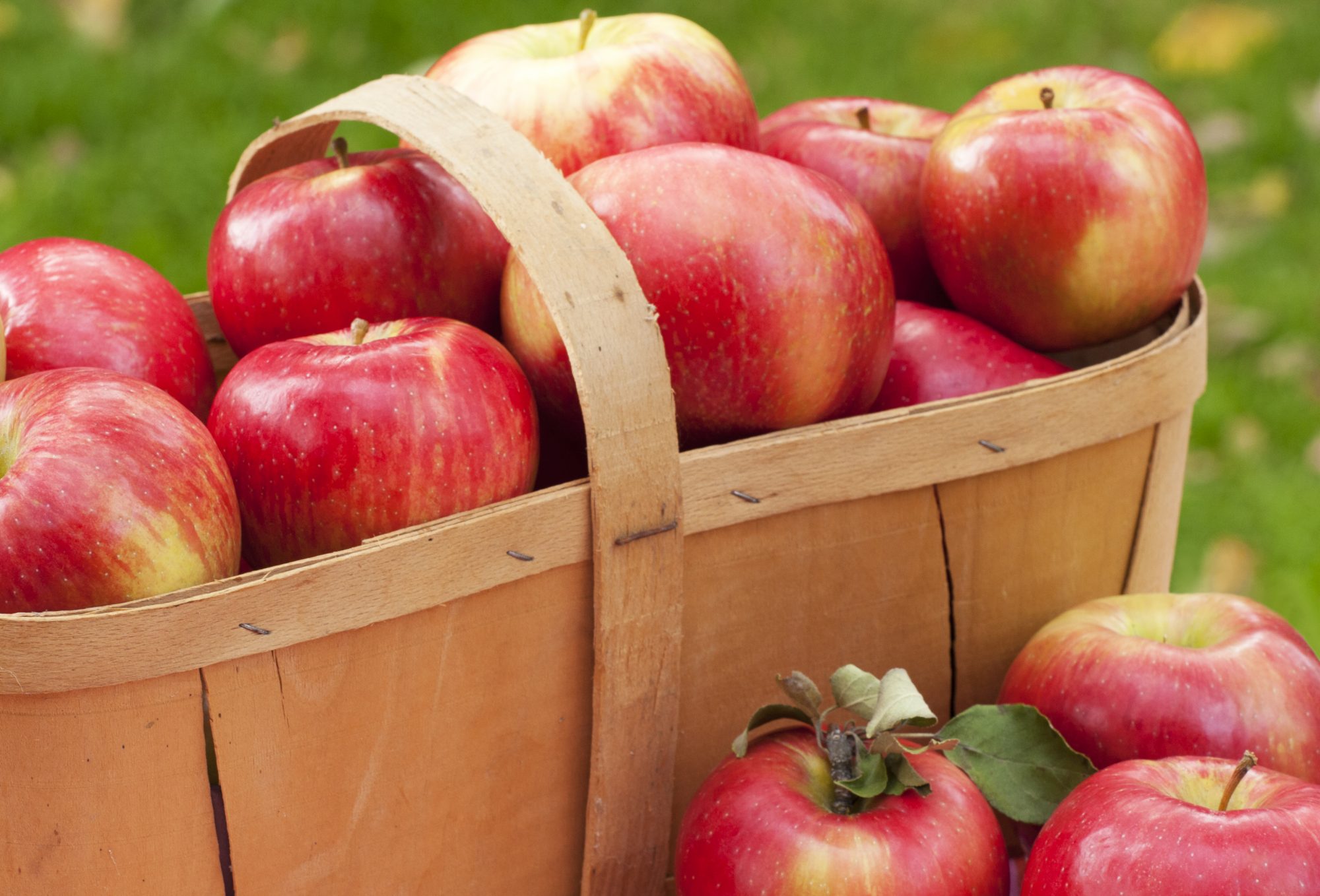 The Best Apples For Apple Pie Myrecipes